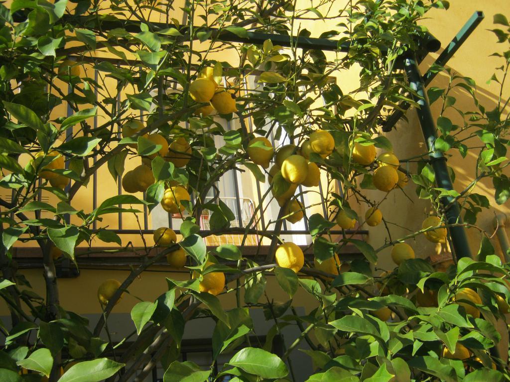 Holiday Home Il Borgo Degli Agrumi Uzzano Ngoại thất bức ảnh