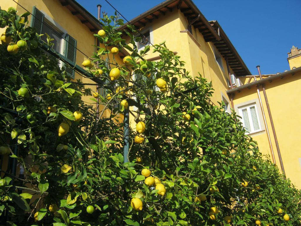 Holiday Home Il Borgo Degli Agrumi Uzzano Ngoại thất bức ảnh